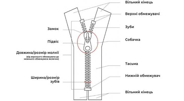 структура молнії застібки